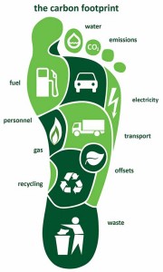 the carbon footprint2