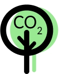 consultoría medioambiental Mallorca | consultores auditores icono CO2 en árbol