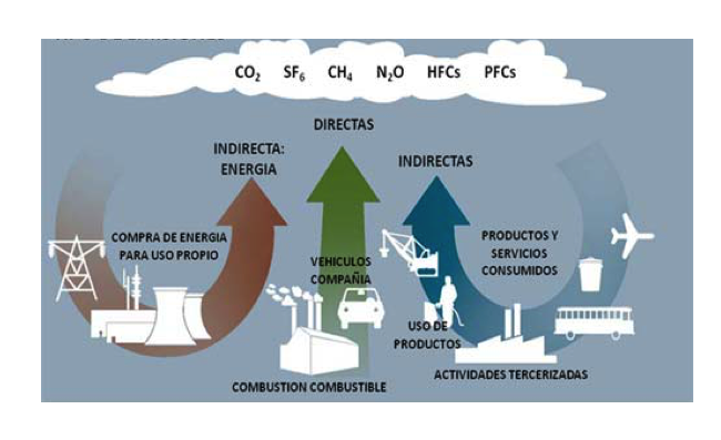 huella de carbono - El Real Decreto 214/2025: Un punto de inflexión en la gestión de la huella de carbono en España Podarcis